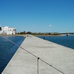 東二見白灯台波止のキス調査