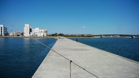 東二見白灯台波止のキス調査