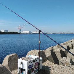 東二見西水路のキス調査