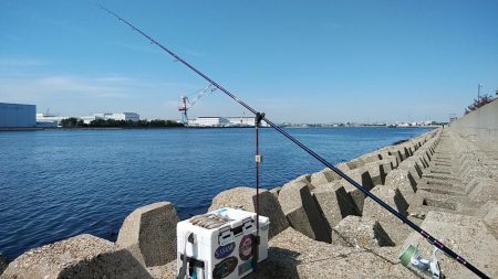 東二見西水路のキス調査