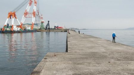 播磨新島のキス調査