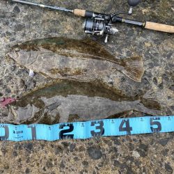 天気がいいので