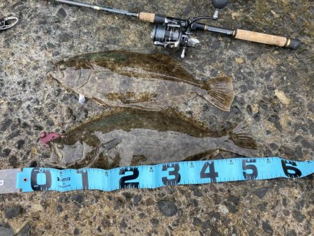 天気がいいので