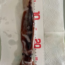 明栄丸さんにて