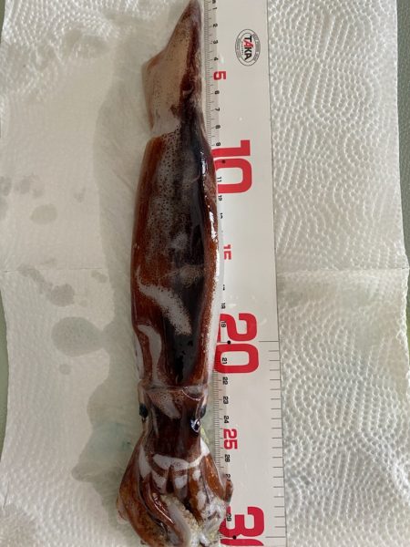 明栄丸さんにて