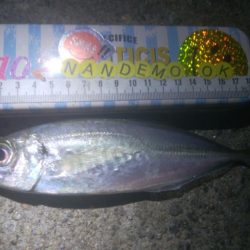 釣りデビュー　124日目