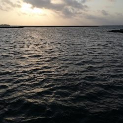 １０日ぶりにやっと釣れました