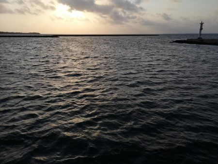 １０日ぶりにやっと釣れました