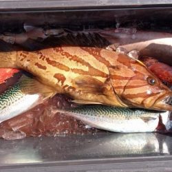 康仁丸・ジギング釣り果