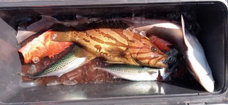 康仁丸・ジギング釣り果