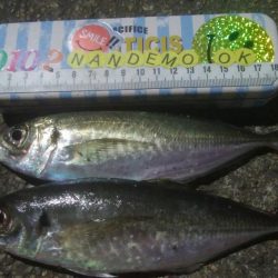 釣りデビュー　131日目