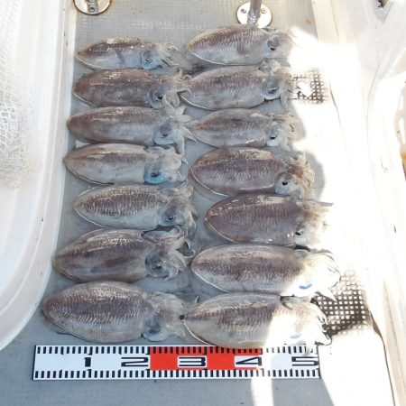 SOUTH釣果 欲張りプラン