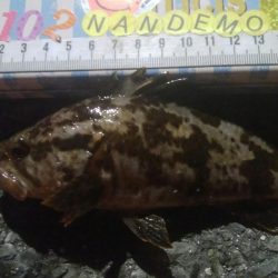 釣りデビュー 138日目