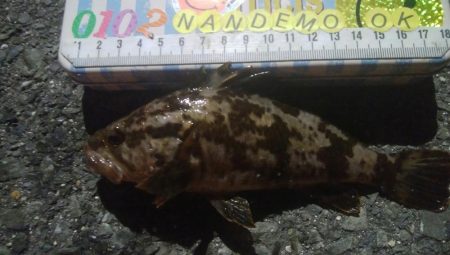 釣りデビュー 138日目