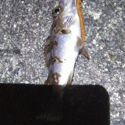 メテオストライク