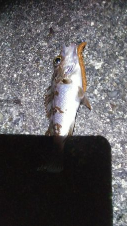 メテオストライク