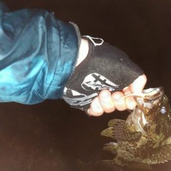 小雨カサゴリング