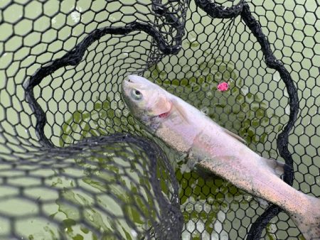 岸和田フィッシングパーク 3桁