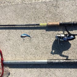 プチsalt water game?