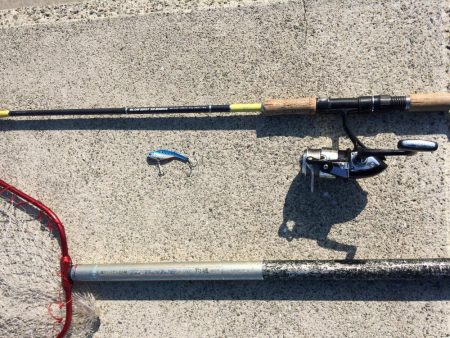 プチsalt water game?