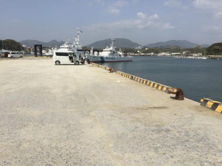 良型コノシロ10匹