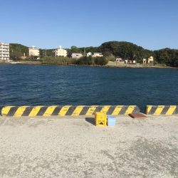 タチウオ90㎝1匹、アジ16匹（良型含む）