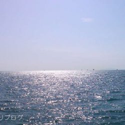 8ヶ月ぶりのご対面