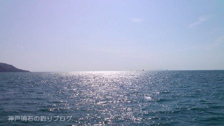 8ヶ月ぶりのご対面