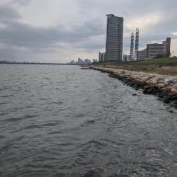 強制ボラリバンウンド