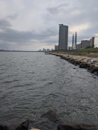 強制ボラリバンウンド