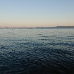 久々に納得の釣果がありました！