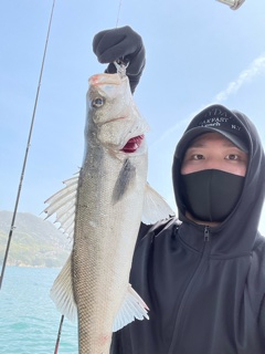 ズズキ・鯛・アコウ・ヒラメ