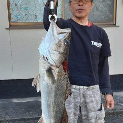 ズズキ・鯛・アコウ・ヒラメ