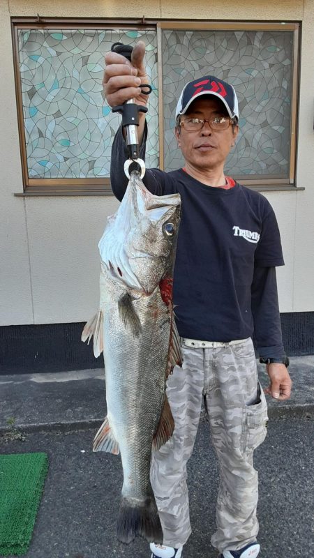 ズズキ・鯛・アコウ・ヒラメ