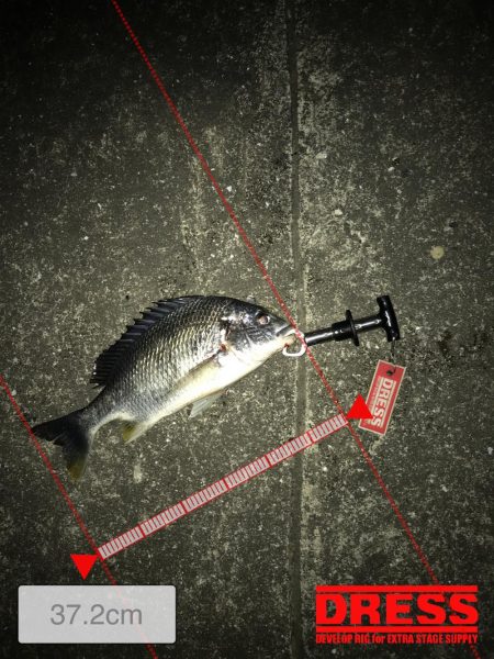 西宮キビレゲーム