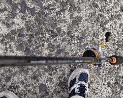 衝撃のチャイロマルハタ