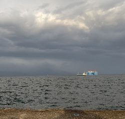 今年、３匹目！