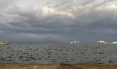 今年、３匹目！