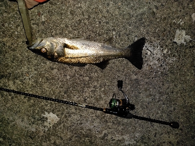 泣きながらかへる。