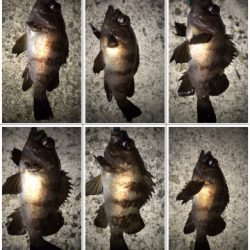 大物ゲスト登場！2021ライトゲーム第9戦