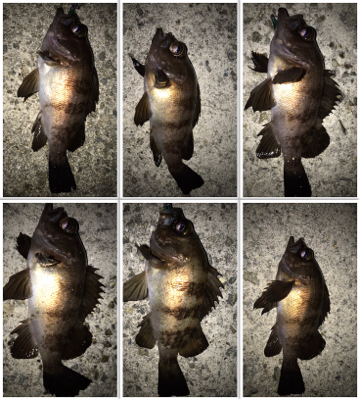 大物ゲスト登場！2021ライトゲーム第9戦