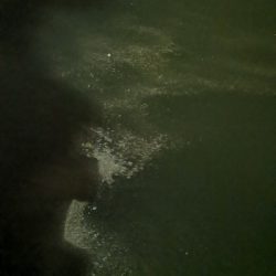 アジング練習　269 　