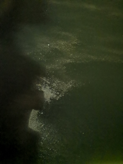 アジング練習　269 　