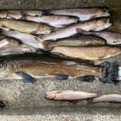 栃木総合運動場フィッシング