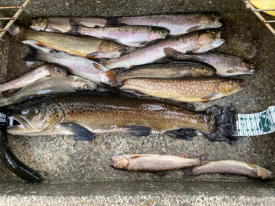 栃木総合運動場フィッシング