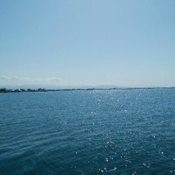 餌でベラ2匹！フグ多数・・・