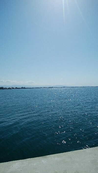 餌でベラ2匹！フグ多数・・・