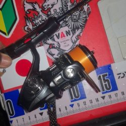 アジング練習 273