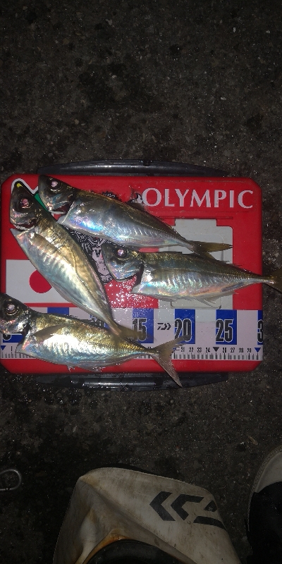 アジング練習　275 宵姫AJカスタムジグ…