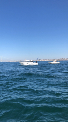 1年ぶりの鯛ラバ